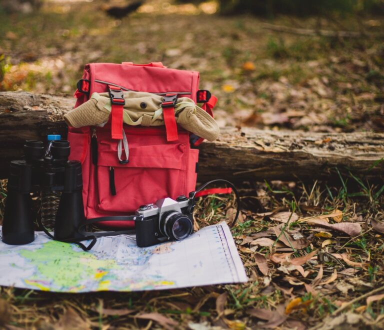 Jungle safari checklist